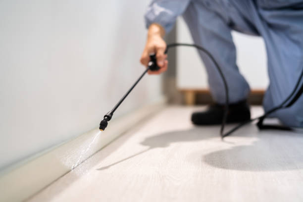 Bed Bug Pre-Treatment Preparation Assessment in Orcutt