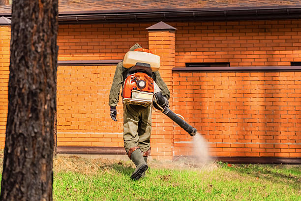Bed Bug Clearance Verification and Documentation in Orcutt
